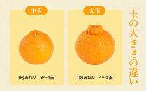 アルギット&nbsp;不知火&nbsp;約1.5kg&nbsp;中玉&nbsp;サイズ（7～8玉）|&nbsp;先行予約&nbsp;不知火&nbsp;デコ&nbsp;みかん&nbsp;甘い&nbsp;おいしい&nbsp;ジューシー&nbsp;完熟&nbsp;期間限定&nbsp;数量限定&nbsp;フルーツ&nbsp;果物&nbsp;柑橘&nbsp;人気&nbsp;おすすめ&nbsp;高級&nbsp;こだわり&nbsp;ギフト&nbsp;旬&nbsp;お取り寄せ&nbsp;送料無料&nbsp;和歌山&nbsp;有田川町