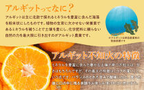 アルギット&nbsp;不知火&nbsp;約2.5kg&nbsp;大玉&nbsp;サイズ（8～9玉）|&nbsp;先行予約&nbsp;不知火&nbsp;デコ&nbsp;みかん&nbsp;甘い&nbsp;おいしい&nbsp;ジューシー&nbsp;完熟&nbsp;期間限定&nbsp;数量限定&nbsp;フルーツ&nbsp;果物&nbsp;柑橘&nbsp;人気&nbsp;おすすめ&nbsp;高級&nbsp;こだわり&nbsp;ギフト&nbsp;旬&nbsp;お取り寄せ&nbsp;送料無料&nbsp;和歌山&nbsp;有田川町