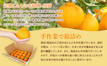 アルギット&nbsp;不知火&nbsp;約5kg&nbsp;大玉&nbsp;サイズ（15～18玉）|&nbsp;先行予約&nbsp;不知火&nbsp;デコ&nbsp;みかん&nbsp;甘い&nbsp;おいしい&nbsp;ジューシー&nbsp;完熟&nbsp;期間限定&nbsp;数量限定&nbsp;フルーツ&nbsp;果物&nbsp;柑橘&nbsp;人気&nbsp;おすすめ&nbsp;高級&nbsp;こだわり&nbsp;ギフト&nbsp;旬&nbsp;お取り寄せ&nbsp;送料無料&nbsp;和歌山&nbsp;有田川町