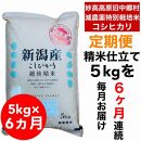 【6か月定期便】新潟県旧中郷村減農薬特別栽培米コシヒカリ 5kg（5kg×1袋）