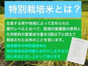 【6か月定期便】新潟県旧中郷村減農薬特別栽培米コシヒカリ 5kg（5kg×1袋）