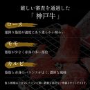 【和牛セレブ】神戸牛６種の希少部位焼肉食べ比べ（3～4人前）計500g