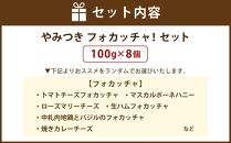 やみつき フォカッチャ！ 100g×8個 おまかせ セット