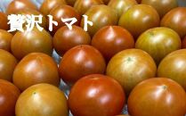 高知県高知市産 贅沢トマト 約4kg