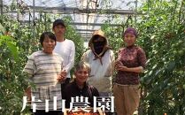 高知県高知市産 トマト品種４点セット 約4kg