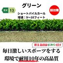 UP_11 ゴルフ練習用GRパターマット24（2m×4m）＋美浦村ゴルフレッスン・フィッティングチケット