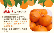 ［先行予約］家庭用&nbsp;せとか1kg+250g（傷み補償分）［柑橘・春みかんの王様］［わけあり・訳あり］［光センサー選果・食べ頃出荷］［IKE118w］