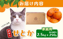 ［先行予約］家庭用&nbsp;せとか2.5kg+250g（傷み補償分）［柑橘・春みかんの王様］［わけあり・訳あり］［光センサー選果・食べ頃出荷］［IKE62w］