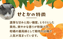 ［先行予約］家庭用&nbsp;せとか2.5kg+250g（傷み補償分）［柑橘・春みかんの王様］［わけあり・訳あり］［光センサー選果・食べ頃出荷］［IKE62w］