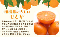 ［先行予約］厳選&nbsp;せとか1kg+250g（傷み補償分）［柑橘・春みかんの王様］［光センサー選果・食べ頃出荷］［IKE60w］