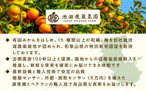 ［先行予約］厳選&nbsp;せとか2.5kg+250g（傷み補償分）［柑橘・春みかんの王様］［光センサー選果・食べ頃出荷］［IKE61w］