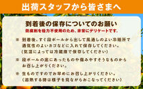 ［先行予約］厳選&nbsp;せとか5kg+250g（傷み補償分）［柑橘・春みかんの王様］［光センサー選果・食べ頃出荷］［IKE119w］