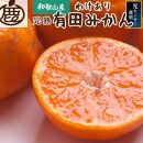 家庭用&nbsp;完熟有田みかん10kg+250g（傷み補償分）