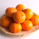 プレミアム&nbsp;有田みかん（完熟）1kg+250g（傷み補償分）