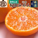 厳選 完熟有田みかん3kg+90g（傷み補償分）【光センサー選果】