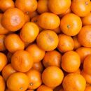 家庭用&nbsp;小玉&nbsp;有田みかん10kg+250g（傷み補償分）