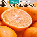 家庭用 大きな有田みかん5.5kg+165g（傷み補償分）【わけあり・訳あり】【光センサー選果】