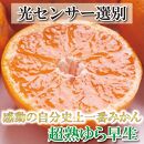 厳選 超熟有田みかん2kg+60g（傷み補償分）【自分史上一番みかん】【光センサー選果】