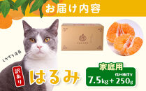 ［先行予約］家庭用&nbsp;はるみ7.5kg+250g（傷み補償分）［デコポンの姉妹品種・新食感春みかん］［わけあり・訳あり］