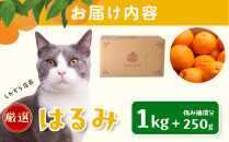 ［先行予約］厳選&nbsp;はるみ1kg+250g（傷み補償分）［デコポンの姉妹品種・新食感春みかん］