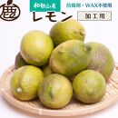 加工用 レモン6.5kg+195g（傷み補償分）【和歌山有田産】【防腐剤・WAX不使用、安心の国産レモン】【わけあり・訳ありレモン】【果汁用】