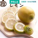 厳選 レモン4.5kg+135g（傷み補償分）【和歌山有田産】【防腐剤・WAX不使用、安心の国産レモン】