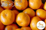 濃厚ポンカン 5kg サイズ混合 「和みかんプレミアム」 【北海道・沖縄・一部離島配送不可】森本農園