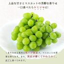 シャインマスカット 約2kg　紀州和歌山産【2025年8月下旬以降発送予定】【UT78】