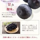 ピオーネ 約2kg　紀州和歌山 かつらぎ産【2025年8月下旬以降発送予定】【UT119】