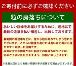 巨峰ぶどう約2kg　紀州和歌山産【2025年8月下旬頃から9月下旬頃発送予定】【UT88】