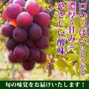 巨峰ぶどう約2kg　紀州和歌山産【2025年8月下旬頃から9月下旬頃発送予定】【UT88】