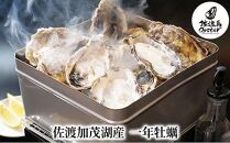 【佐渡加茂湖産】 一年牡蠣のカンカン焼き（殻付き牡蠣約2kg）