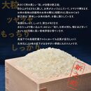 佐渡島産 新之助 白米5kg×1袋【令和6年産】