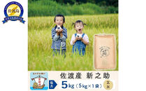 【新米予約&nbsp;6か月定期便】佐渡島産&nbsp;新之助&nbsp;玄米5Kg&nbsp;令和7年