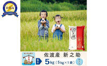 【新米予約 6か月定期便】佐渡島産 新之助 無洗米5Kg 令和7年