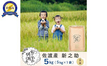 佐渡島産&nbsp;新之助&nbsp;玄米5kg×1袋