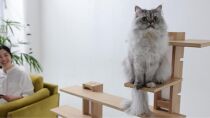 新拡張型キャットタワー&nbsp;necosuru&nbsp;cat&nbsp;branch【ブラウン】