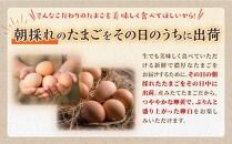たかはしさんの新鮮卵【Lサイズ30個（10個×3パック）】
