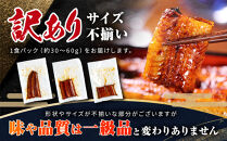 年内発送&nbsp;訳あり&nbsp;国産&nbsp;うなぎ&nbsp;1食&nbsp;パック&nbsp;合計1kg&nbsp;山椒&nbsp;付き&nbsp;タレ&nbsp;30個&nbsp;付&nbsp;数量限定【申込は2025年12月24日まで】