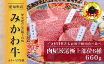 【みかわ牛】肉屋厳選極上部位6種　660ｇ