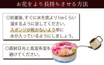 花屋がつくったフラワーケーキ S  （アプリコット）