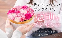 花屋がつくったフラワーケーキ S  （四季限定アイテム）