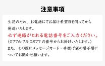 花屋がつくったフラワーケーキ L（アプリコット）