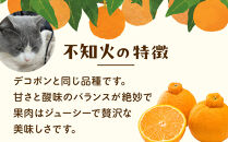 ［先行予約］家庭用&nbsp;不知火2.5kg+250g（傷み補償分）［デコポンと同品種・人気の春みかん］［わけあり・訳あり］