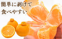 ［先行予約］家庭用&nbsp;不知火5kg+250g（傷み補償分）［デコポンと同品種・人気の春みかん］［わけあり・訳あり］