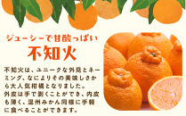 ［先行予約］厳選&nbsp;不知火2.5kg+250g（傷み補償分）［デコポンと同品種・人気の春みかん］