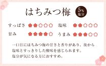 訳あり つぶれ 梅干し 800g 1パック はちみつ 塩分 約5％