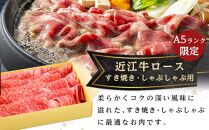 肉 近江牛 定期便【年6回】食べくらべ  サーロイン ロース ヒレ ステーキ 各2回