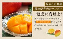 【2026年7月下旬より発送】【先行予約】平均糖度13度以上！アップルマンゴー約2kg（4~5玉）|&nbsp;果物&nbsp;フルーツ&nbsp;マンゴー&nbsp;アップルマンゴー&nbsp;2kg&nbsp;人気&nbsp;おすすめ&nbsp;おすすめフルーツ&nbsp;期間限定&nbsp;鹿児島県&nbsp;与論町