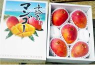 【2026年7月下旬より発送】【先行予約】平均糖度13度以上！アップルマンゴー約2kg（4~5玉）|&nbsp;果物&nbsp;フルーツ&nbsp;マンゴー&nbsp;アップルマンゴー&nbsp;2kg&nbsp;人気&nbsp;おすすめ&nbsp;おすすめフルーツ&nbsp;期間限定&nbsp;鹿児島県&nbsp;与論町